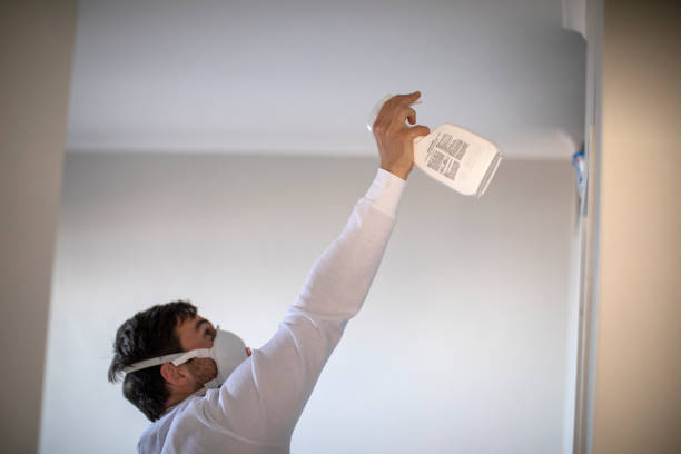 Mold Testing and Removal in Nellis Af, NV