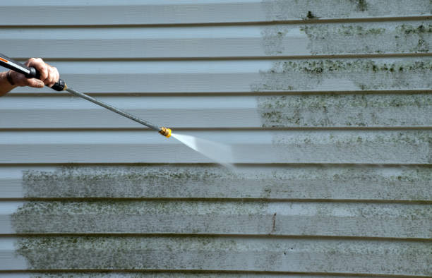Best Residential Mold Removal  in Nellis Af, NV