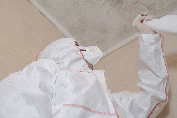 Best Toxic Mold Removal  in Nellis Af, NV