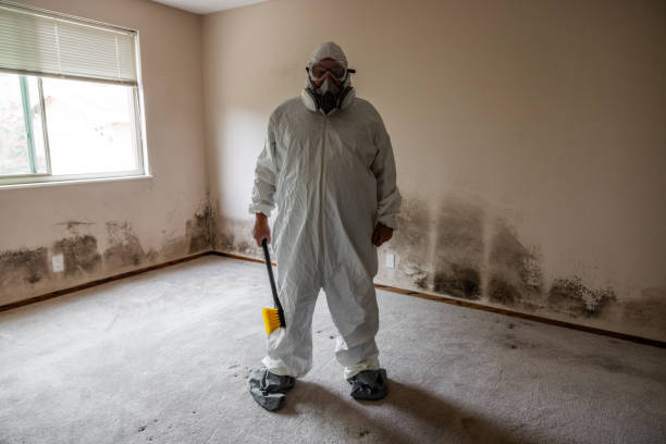 Best Commercial Mold Removal  in Nellis Af, NV